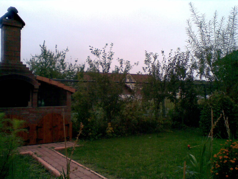 Backyard with brick oven