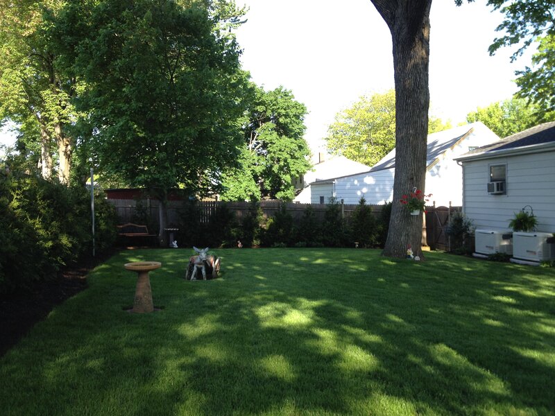 Backyard with Lawn and Trees — Green