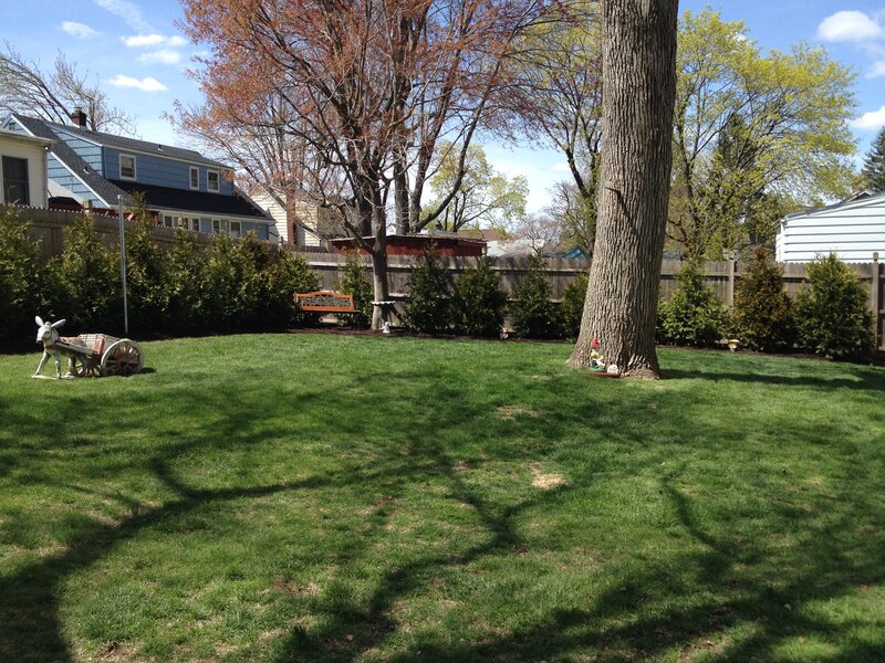 Backyard with Lawn and Trees