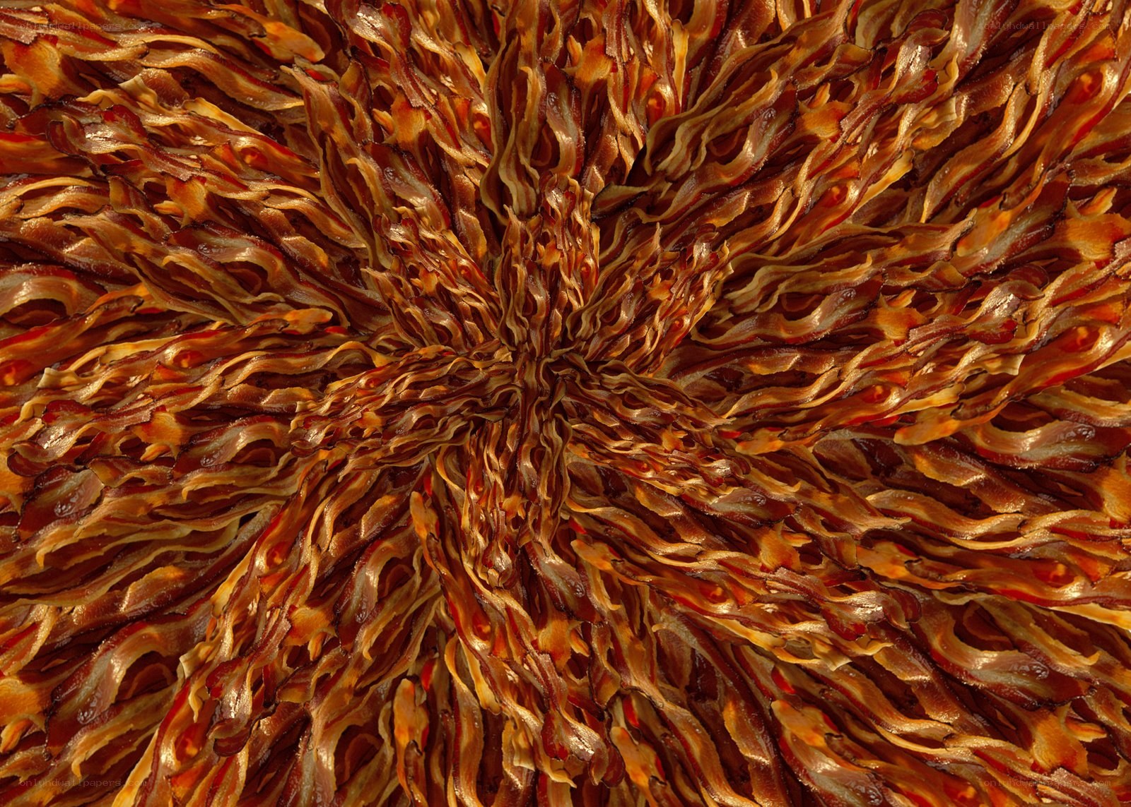 Bacon art installation