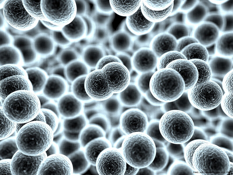Bacteria under Microscope — Black
