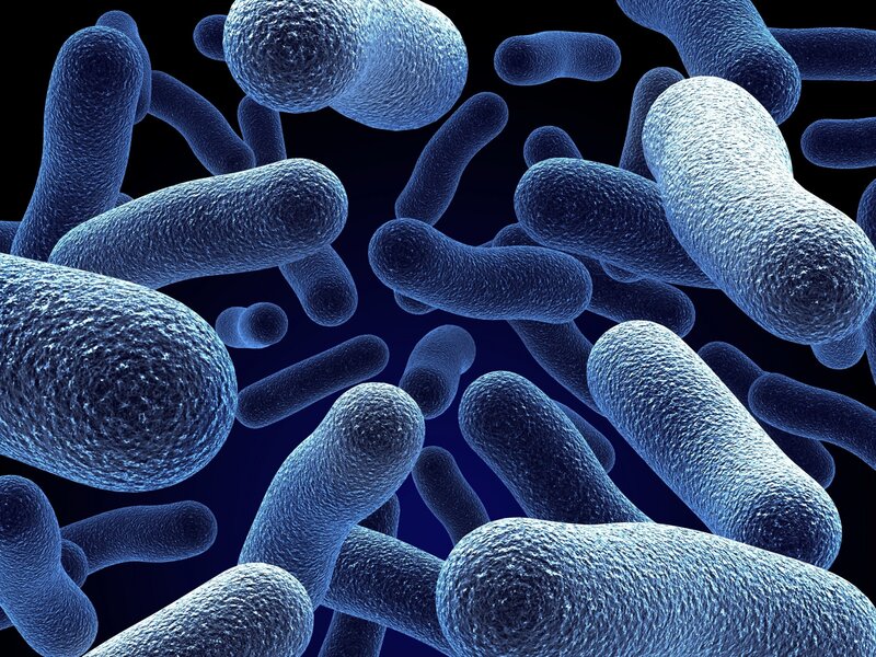 Bacteria under Microscope — Blue, Clinical, 3d Render