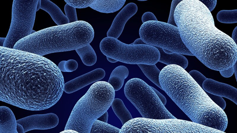 Bacteria under Microscope — Blue, Scientific, 3d Render
