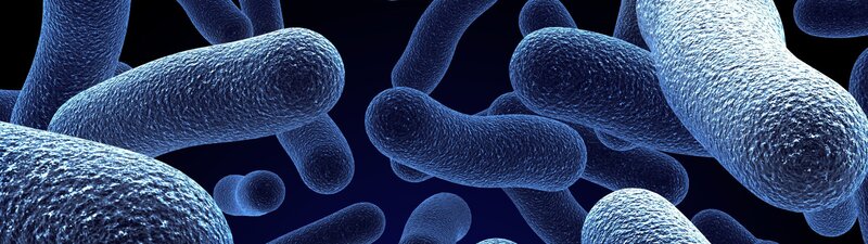 Bacteria under Microscope — Blue