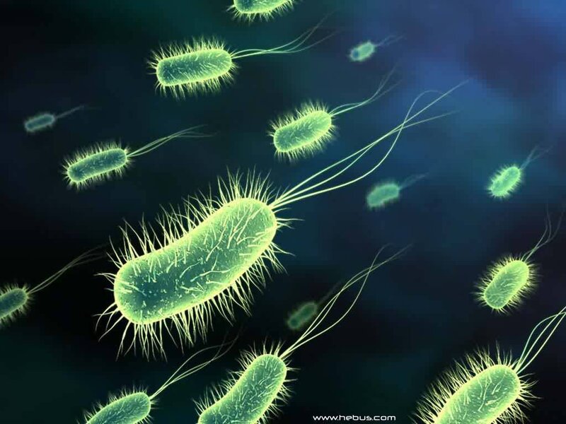 Bacteria under Microscope — Green, Scientific, Digital Art