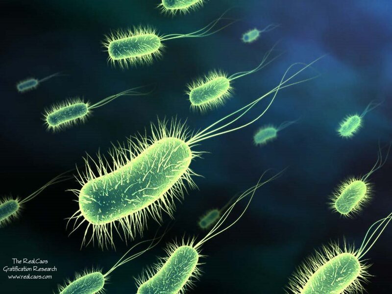 Bacteria under Microscope — Green, Scientific