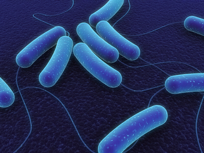 Bacteria with Flagella — Blue