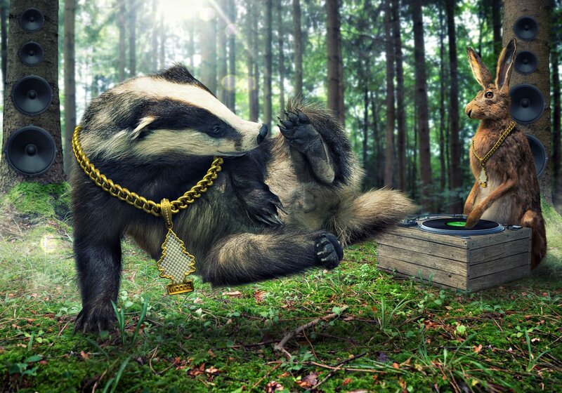 Badger and Hare in Forest