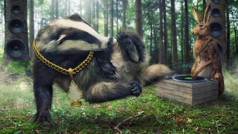 Badger and Rabbit in Forest