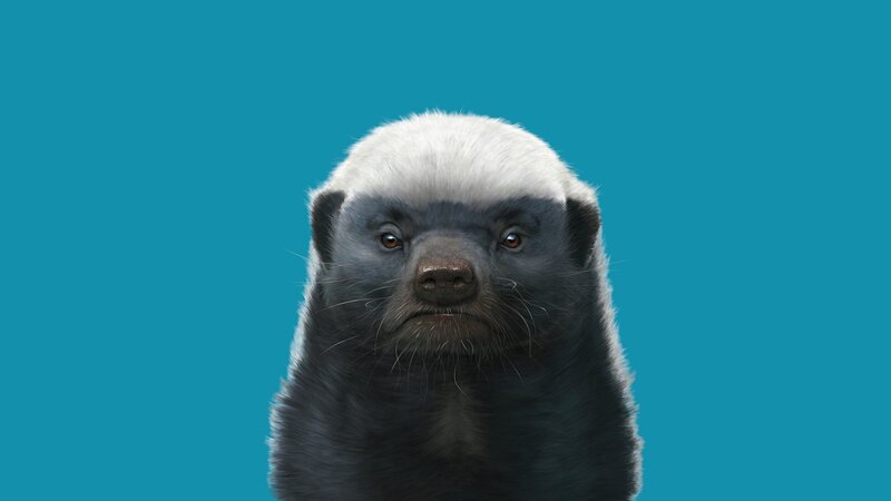 Badger Head