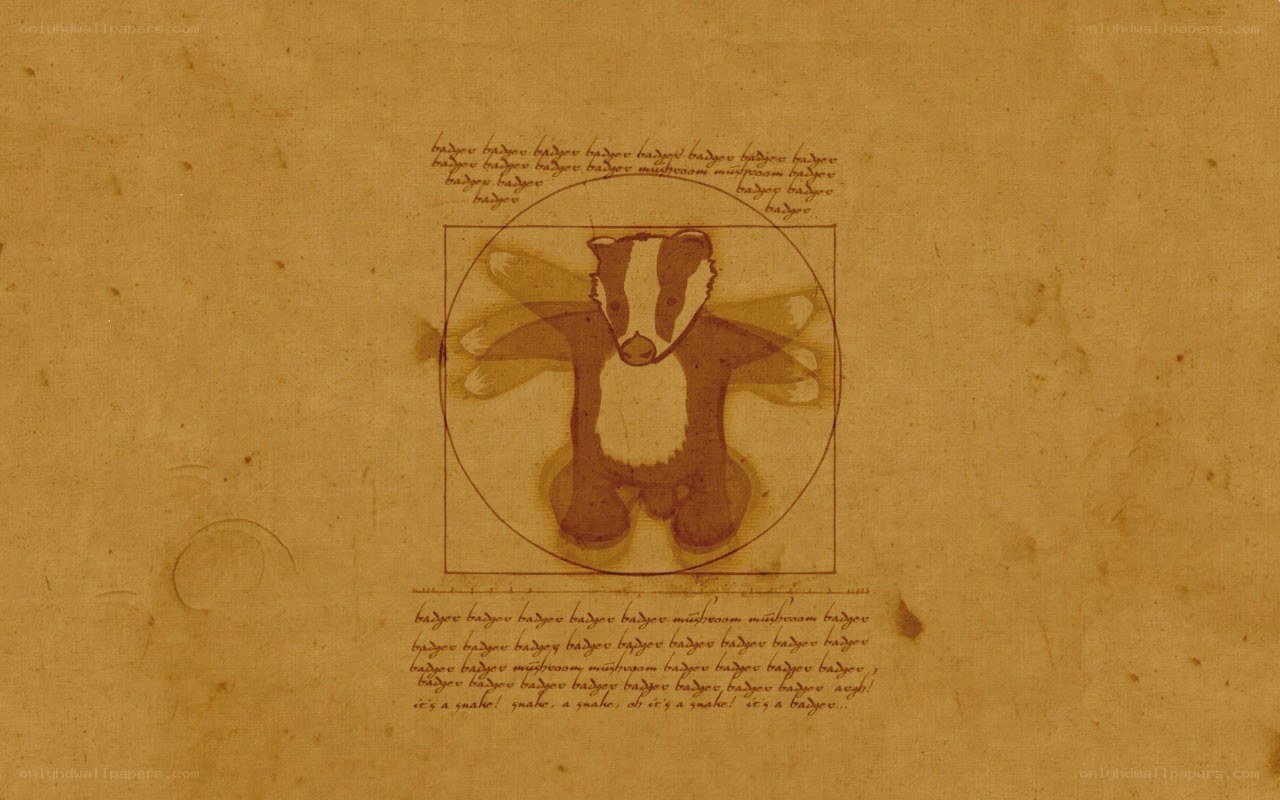 Badger in Vitruvian style