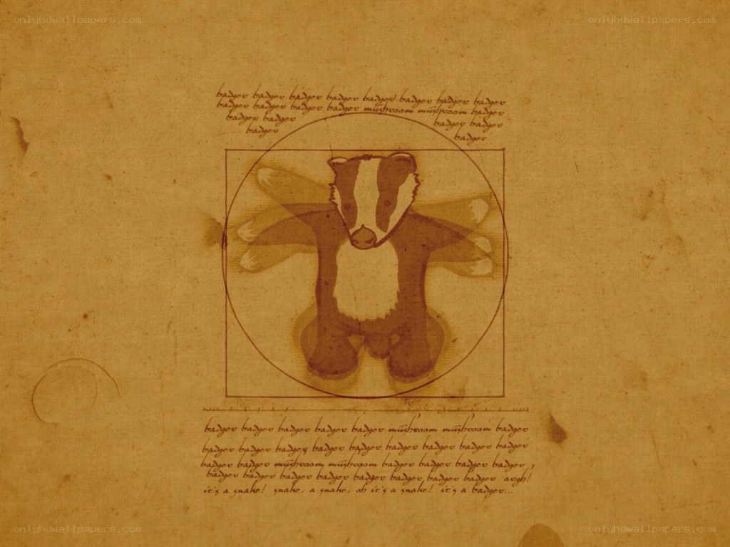 Badger in Vitruvian style