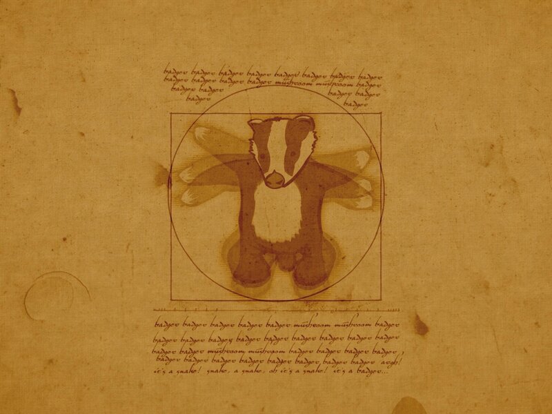 Badger Vitruvian parody