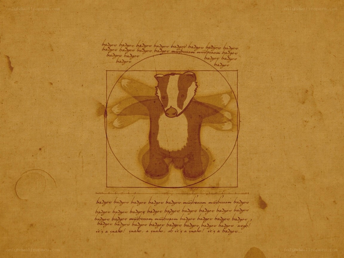 Badger Vitruvian parody