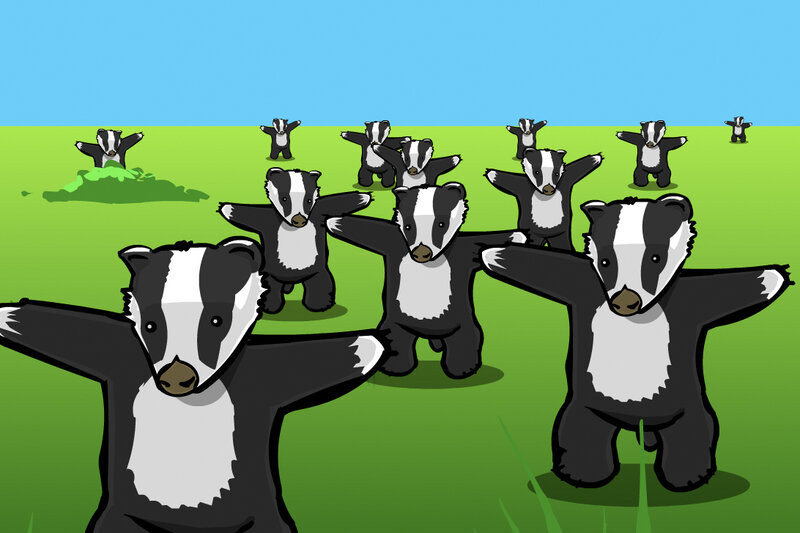 Badgers dancing in field
