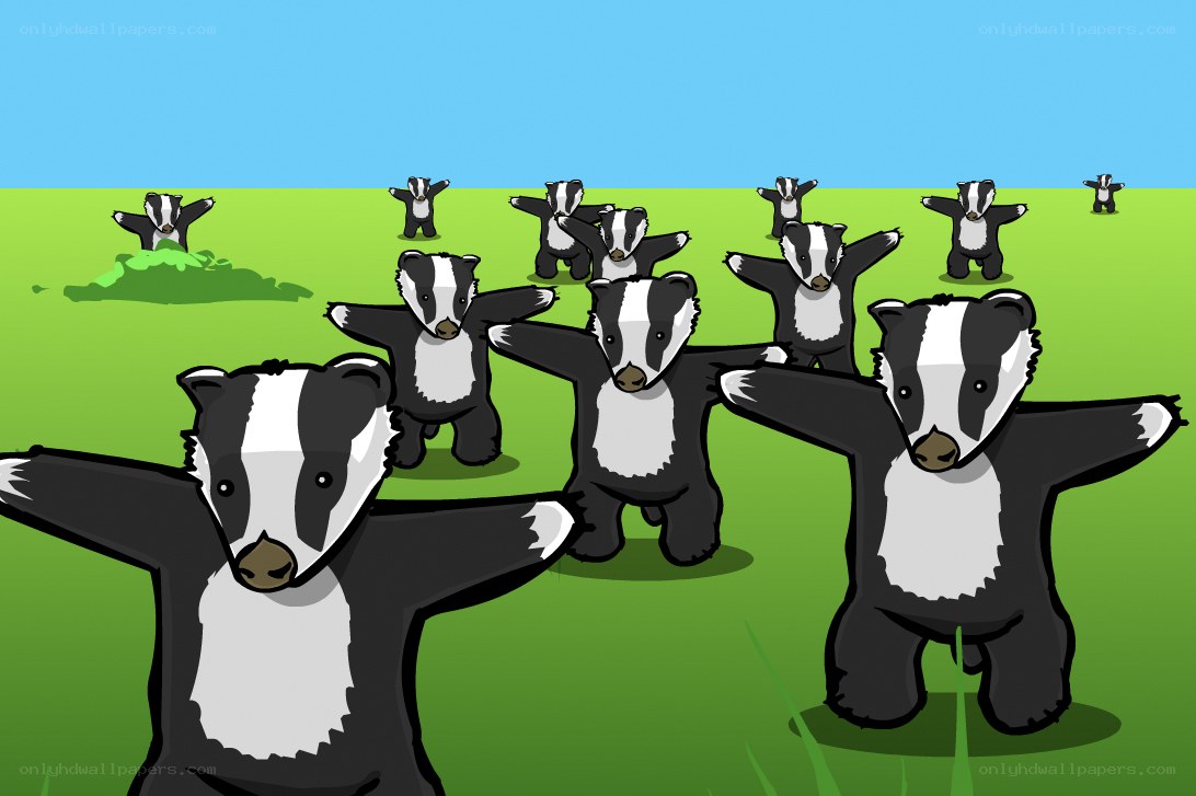 Badgers dancing in field