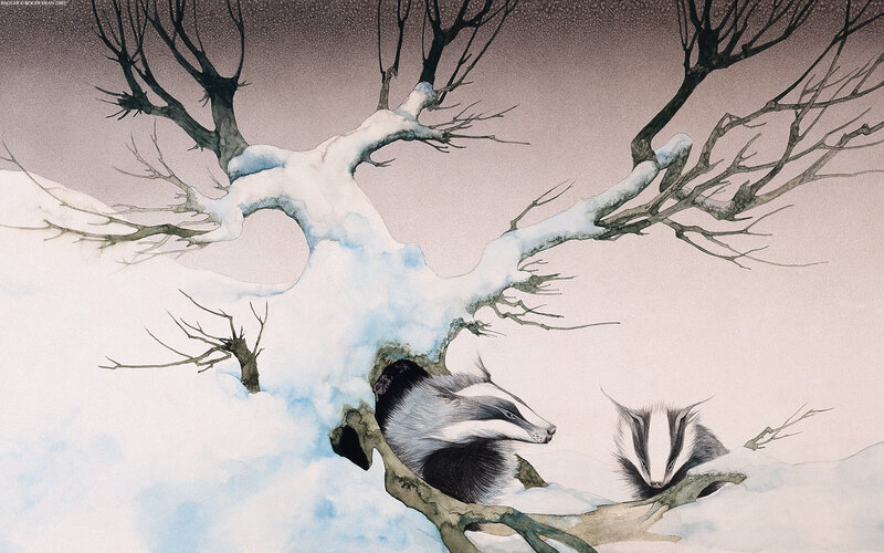 Badgers in a snowy tree