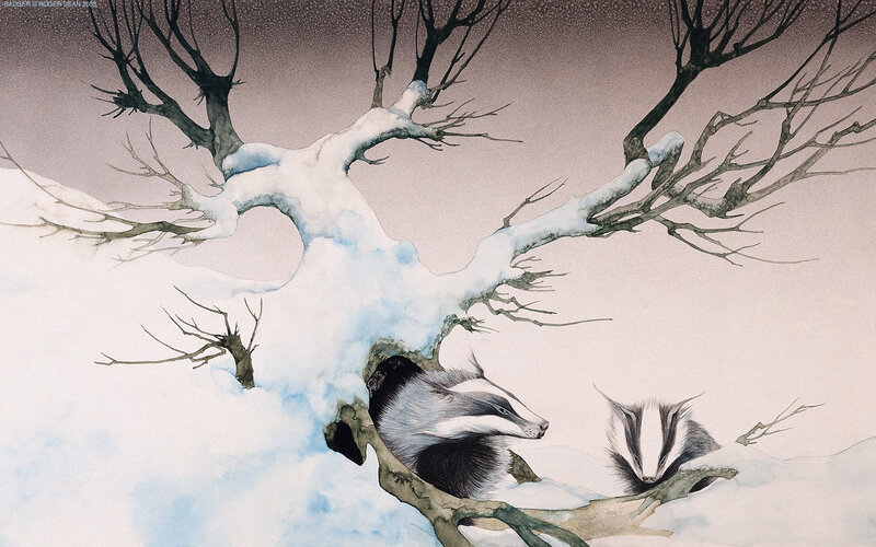 Badgers in Snow
