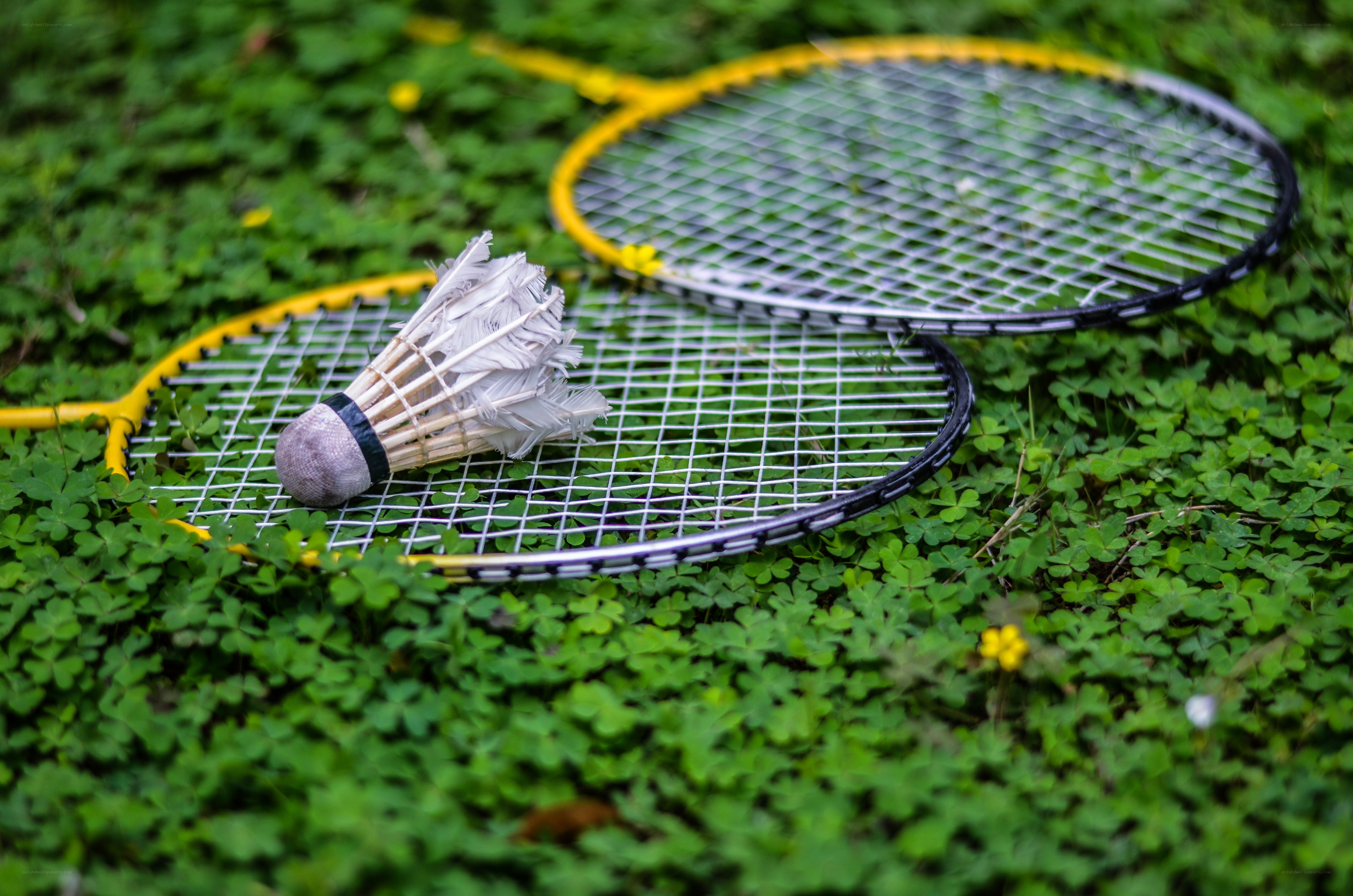 Badminton gear on grass