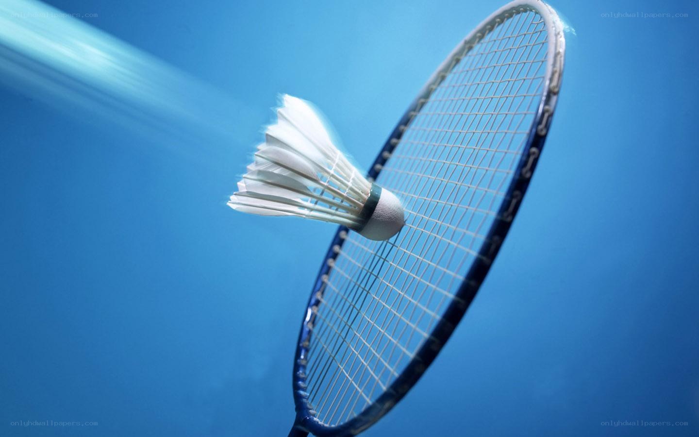 Badminton racket and shuttlecock