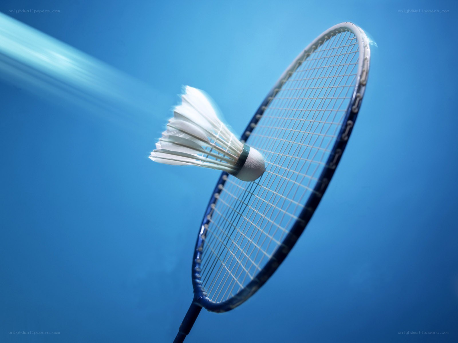 Badminton racket and shuttlecock