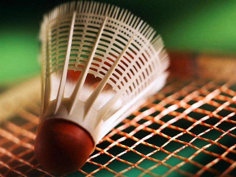 Badminton Shuttlecock