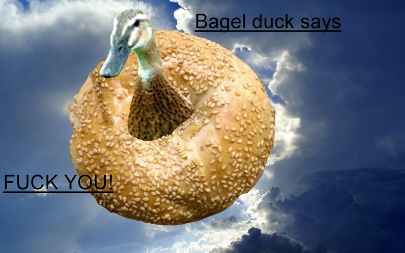 Bagel duck meme
