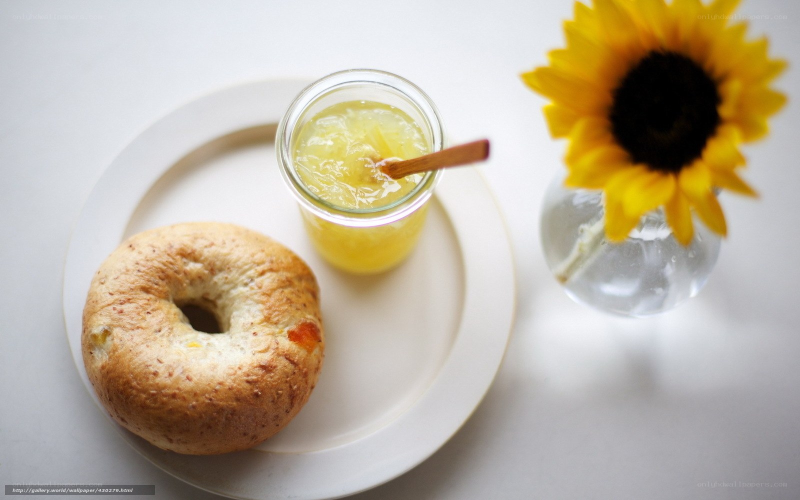 Bagel with jam and sunflower