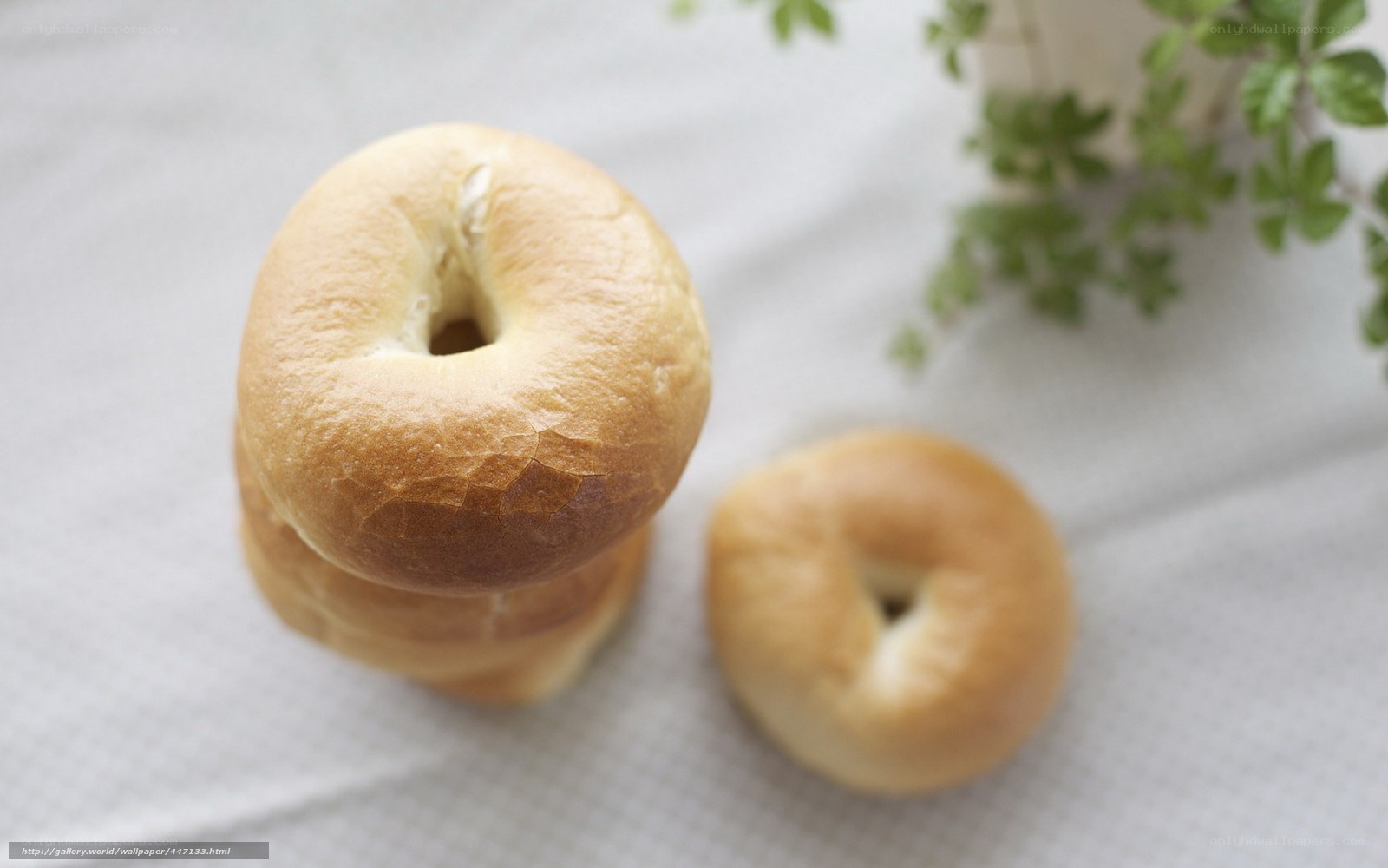 bagels on a white cloth