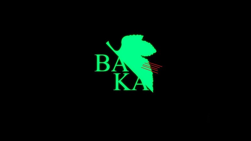 Baka logo with leaf design