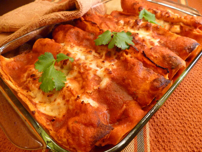 Baked Enchiladas in Dish — Orange