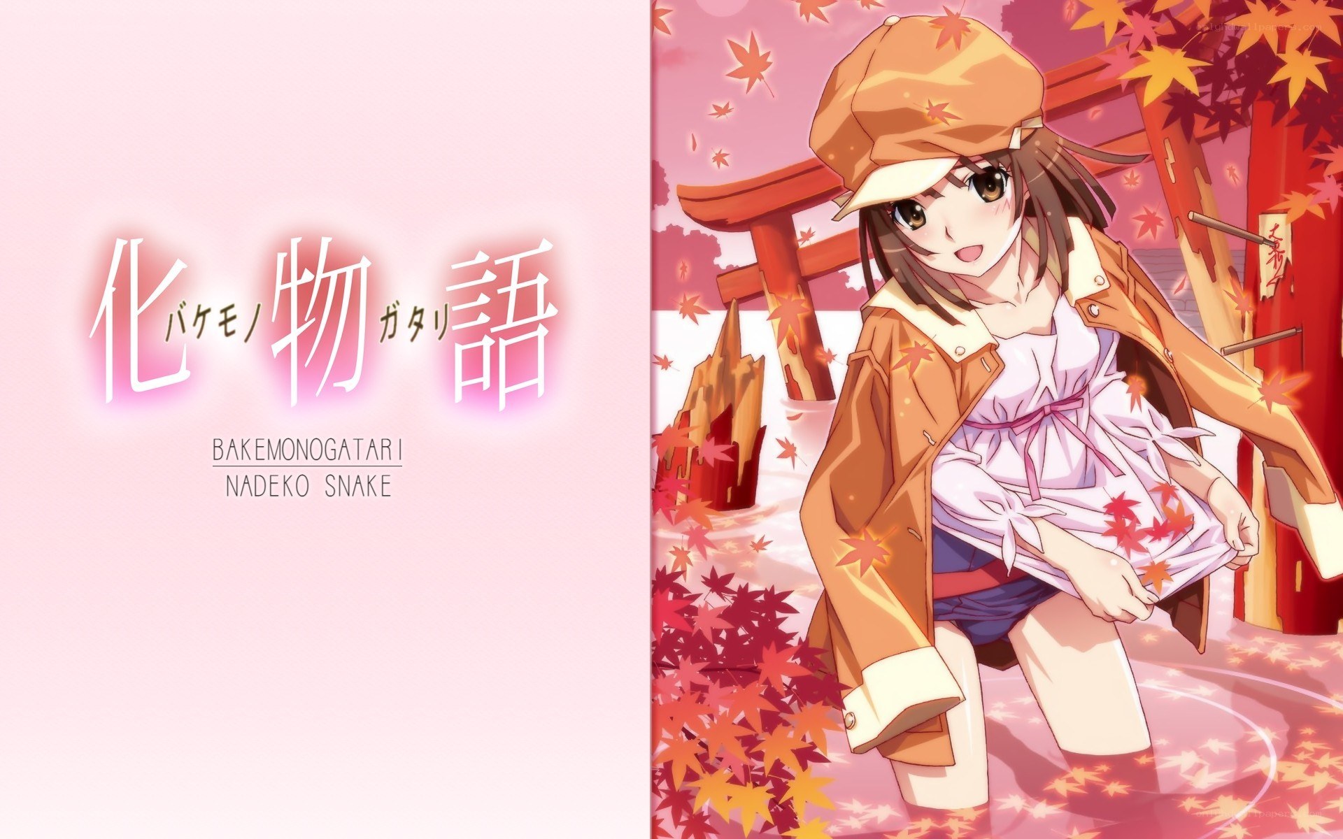 Bakemonogatari cover art