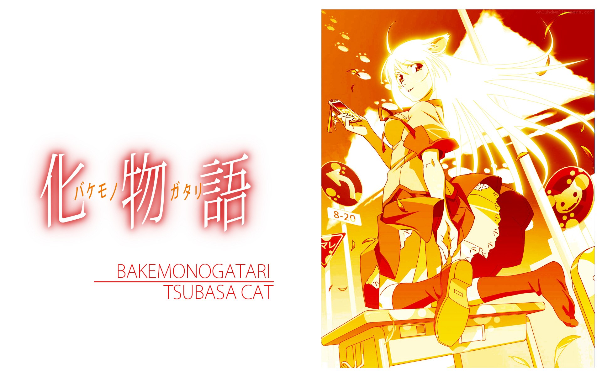 Bakemonogatari Tsubasa Cat