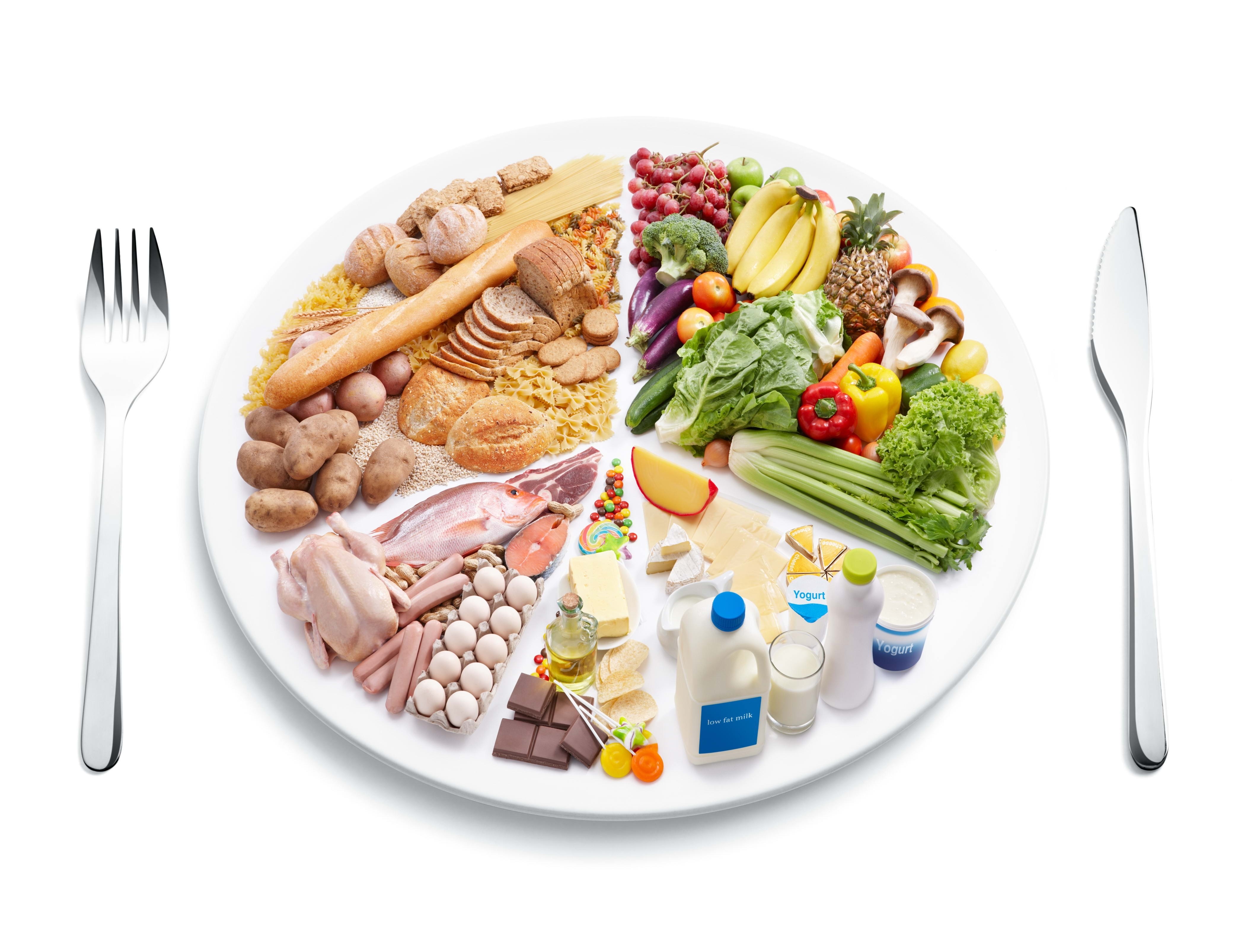 balanced diet food plate