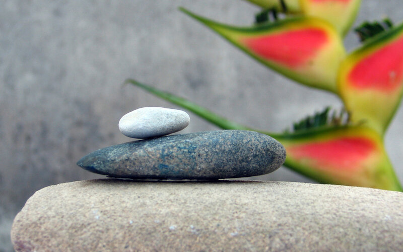 balanced stones with tropical flower