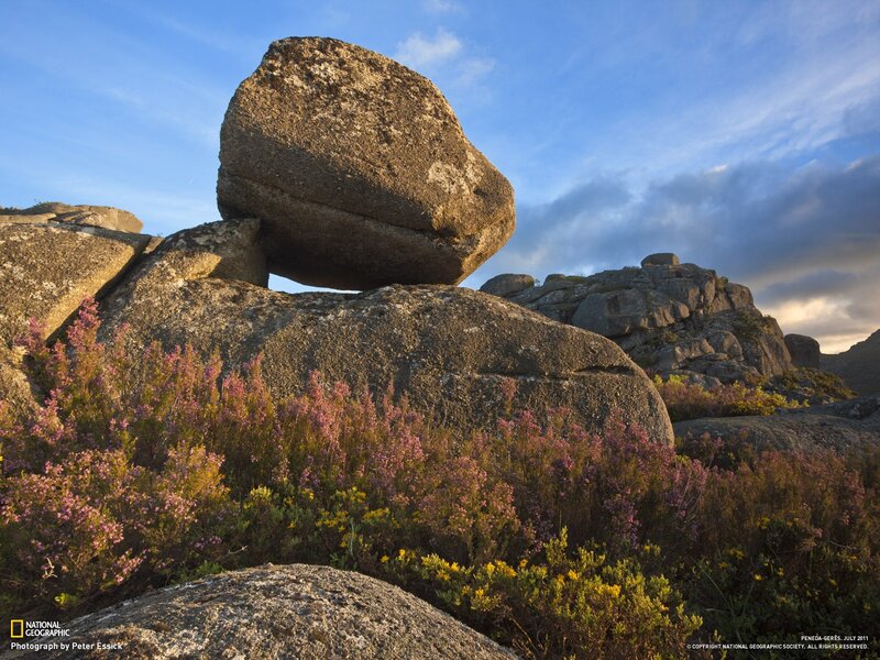 Balancing rock with purple flowers