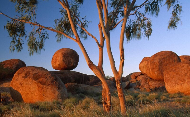 Balancing Rocks and Tree — Orange