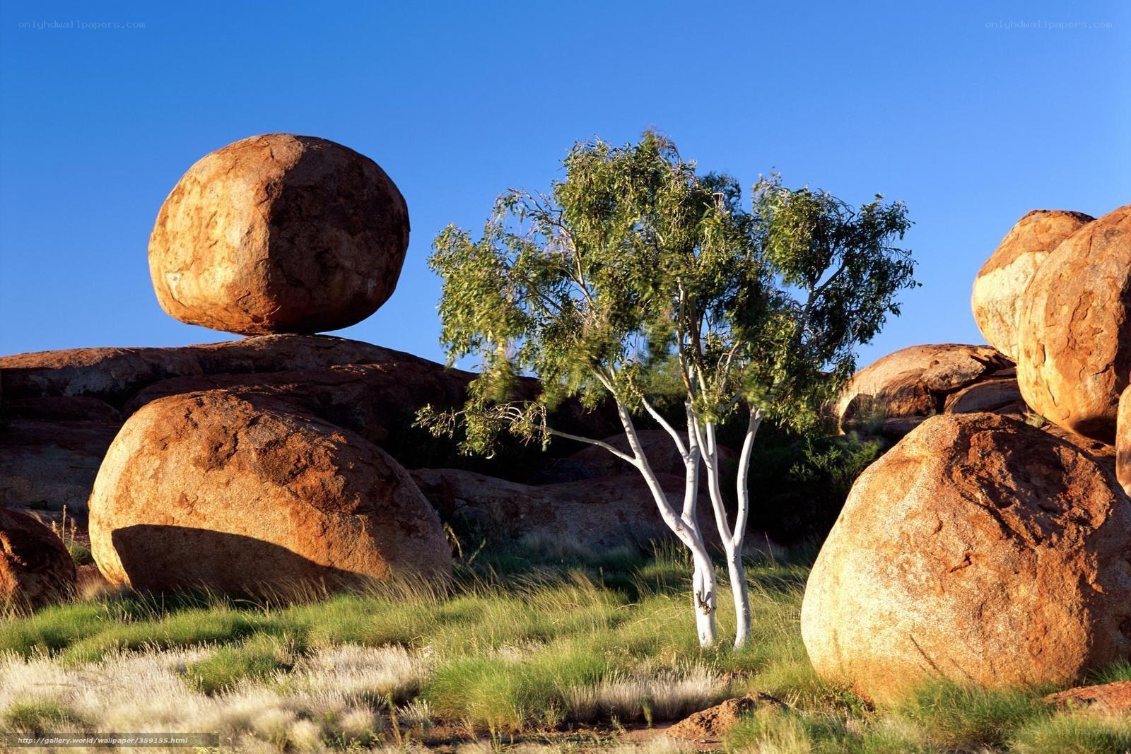 Balancing rocks and tree