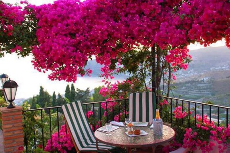 Balcony with Flowers — Pink