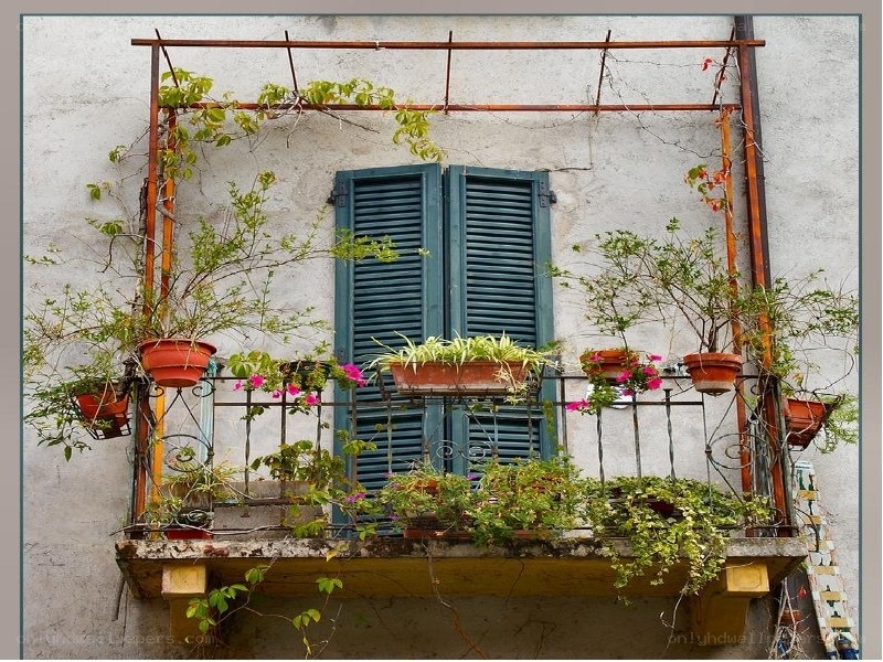 balcony with green plants