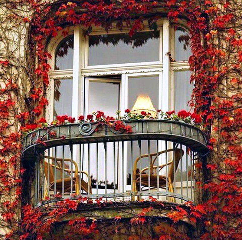 Balcony with Red Ivy