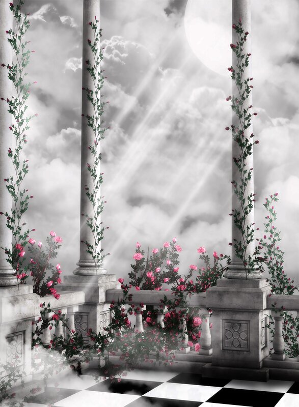 balcony with roses and moonlight