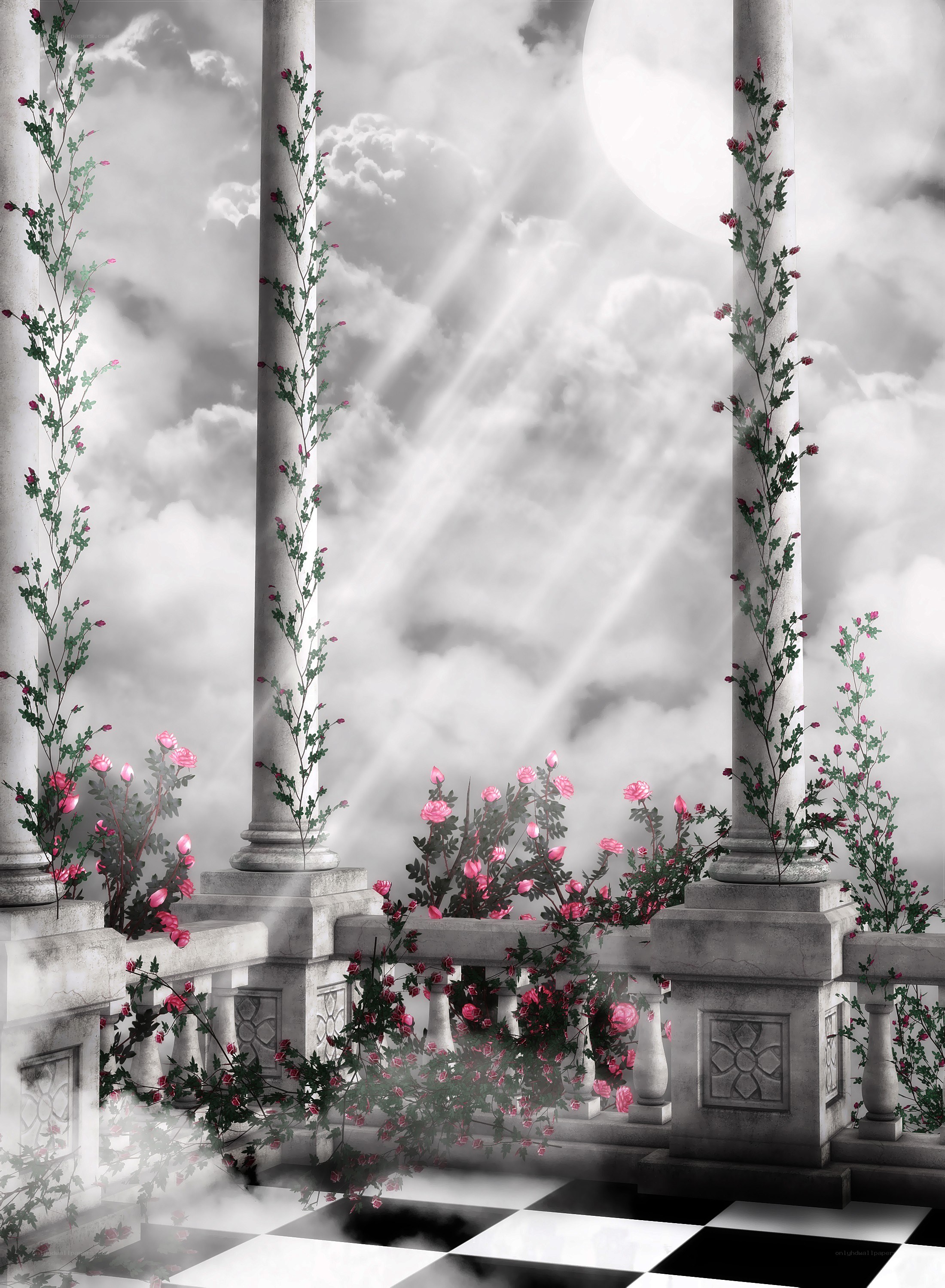 balcony with roses and moonlight