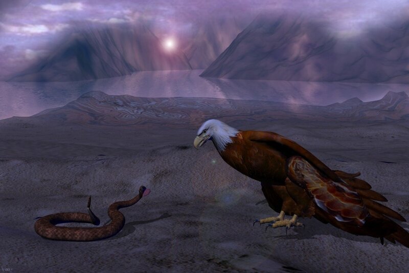 Bald Eagle and Snake