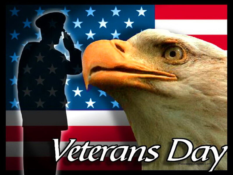 Bald Eagle and Soldier