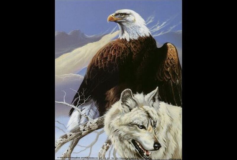Bald Eagle and White Wolf