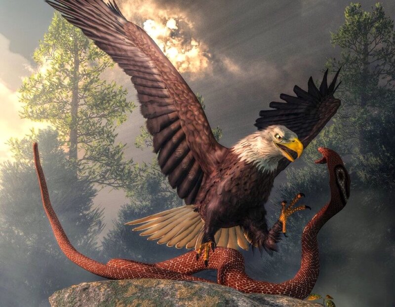 Bald Eagle Attacking Snake