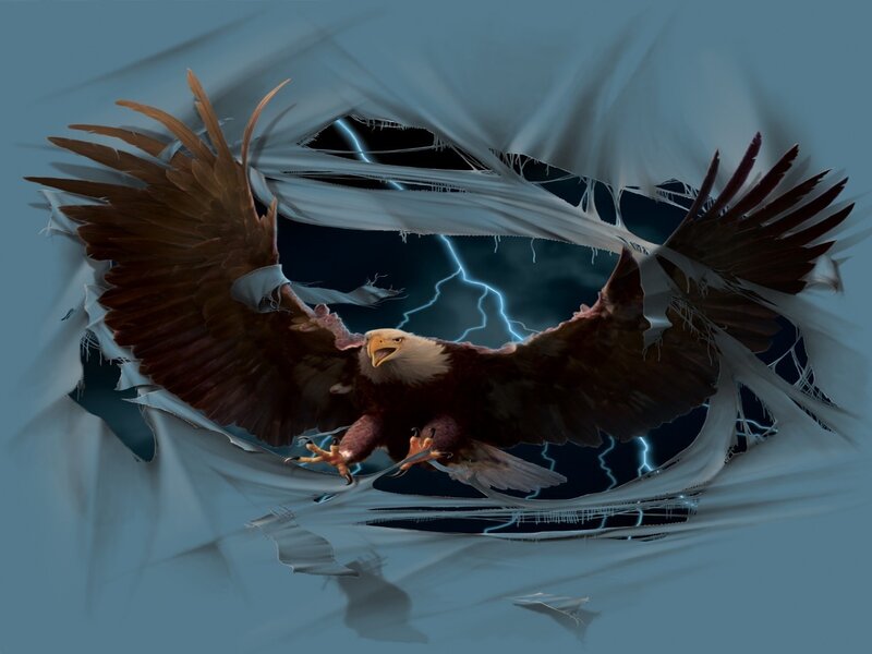 Bald Eagle Breaking Through