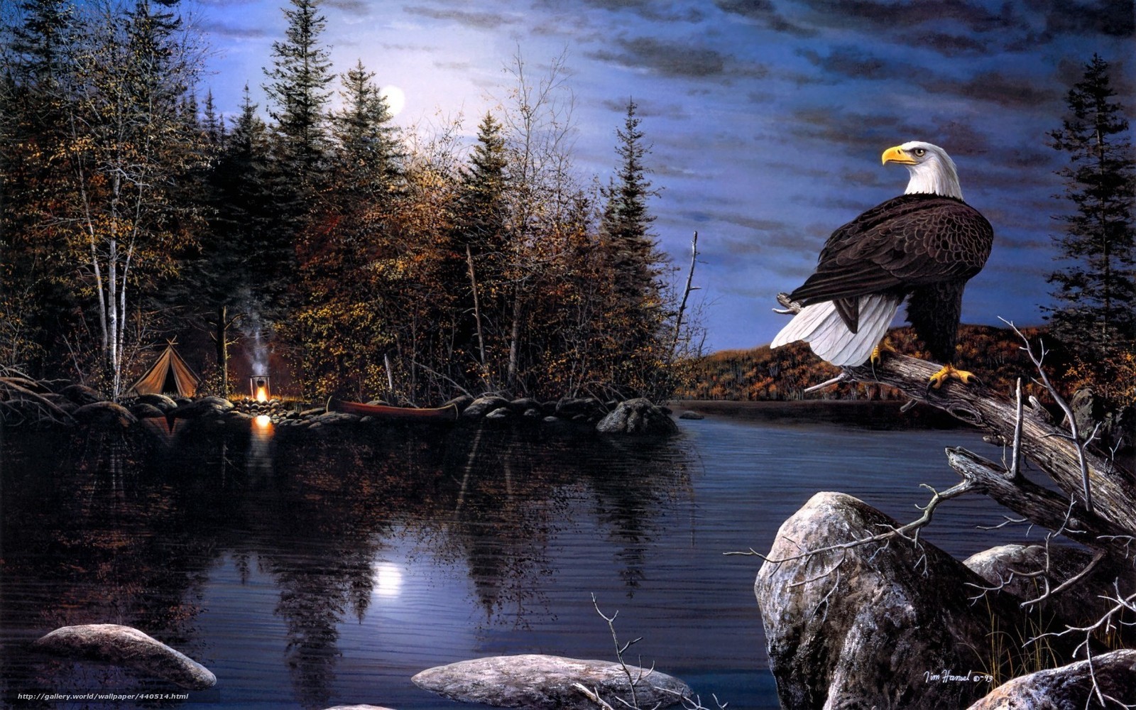 Bald eagle by a lake at night