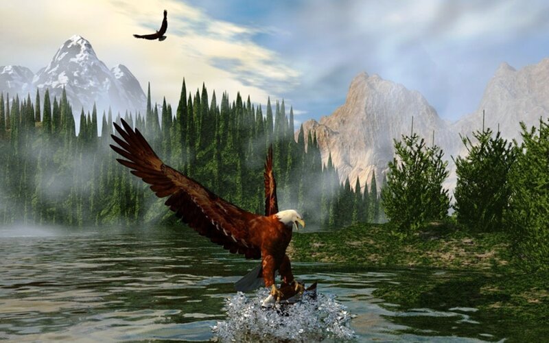 Bald Eagle Catching Fish — Green